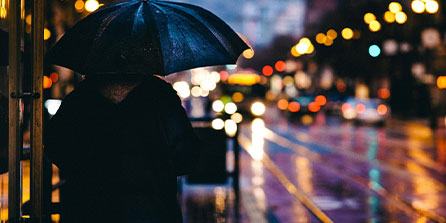 关于球迷关注！雷霆擒太阳，全队出击的信息